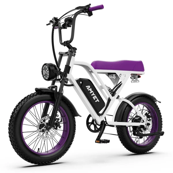 AMYET V9-G60 Adults Electric Bike 1000W Motor Bicycle